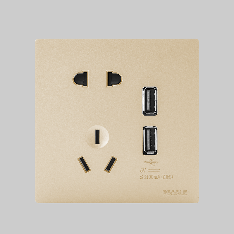 人民电器二USB五孔插座(R86H5) 